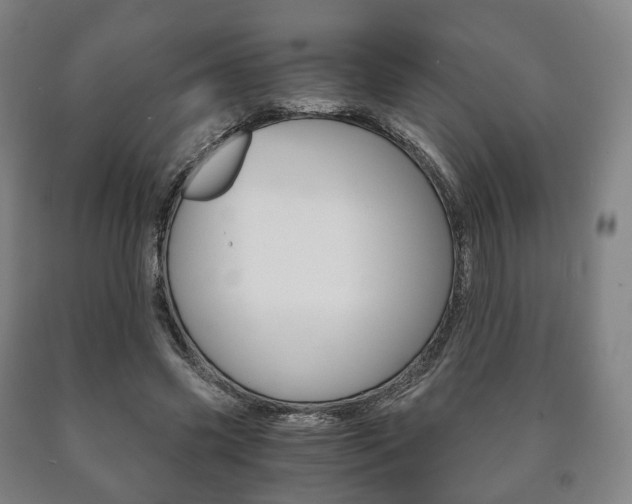 X0000090900541200707301013