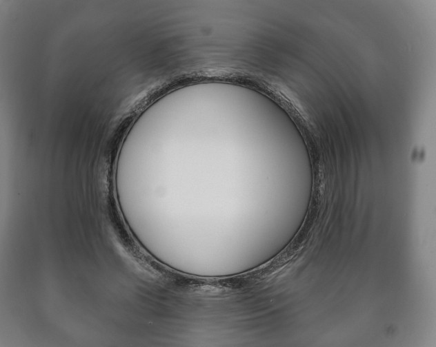 X0000090900542200707301013