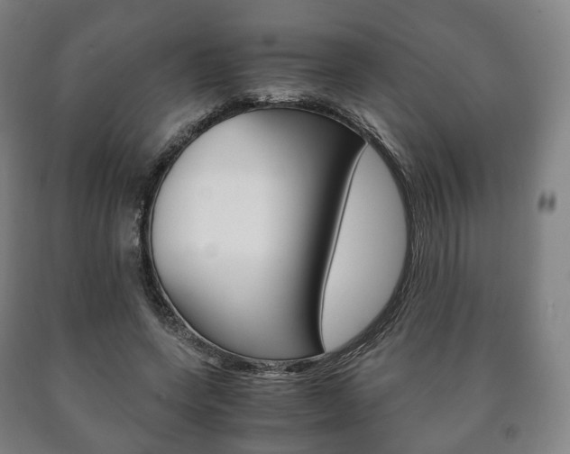 X0000090900543200707301013