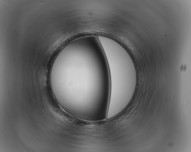 X0000090900544200707301013