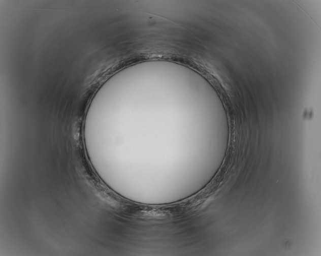 X0000090900545200707301013