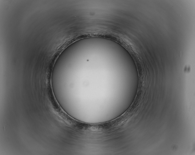 X0000090900546200707301013