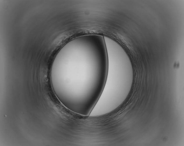 X0000090900548200707301013