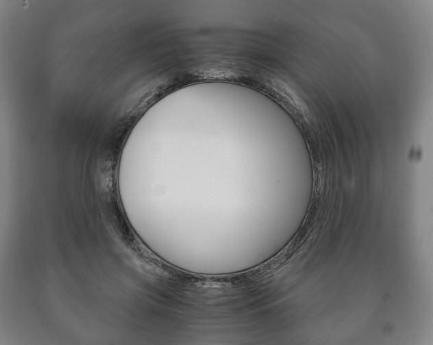 X0000090900549200707301013
