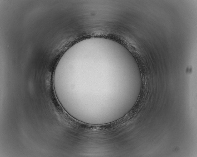 X0000090900550200707301013