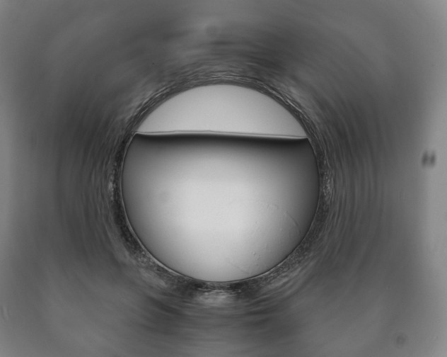X0000090900551200707301013