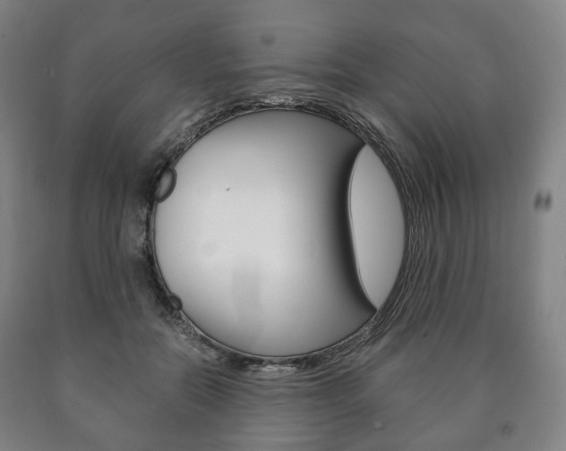 X0000090900554200707301013