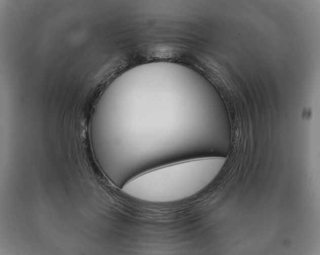 X0000090900555200707301013