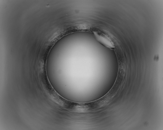 X0000090900556200707301013