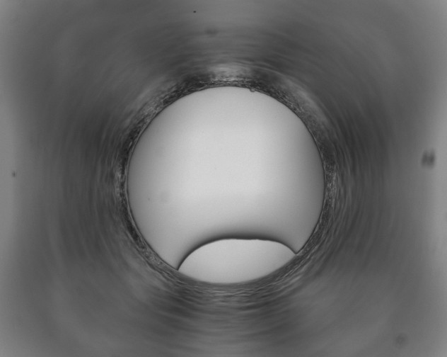 X0000090900557200707301013