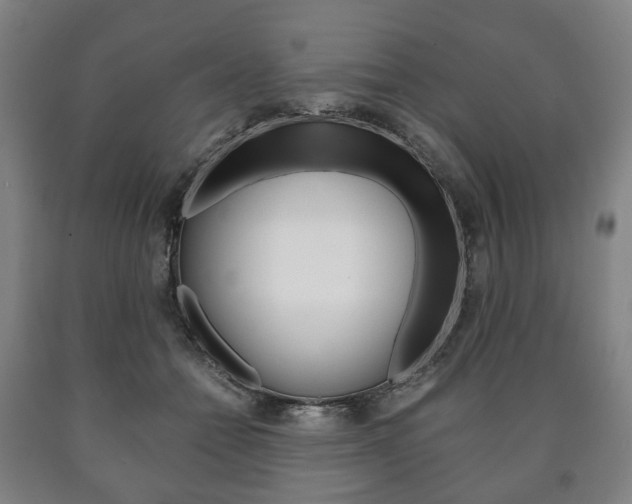 X0000090900558200707301013