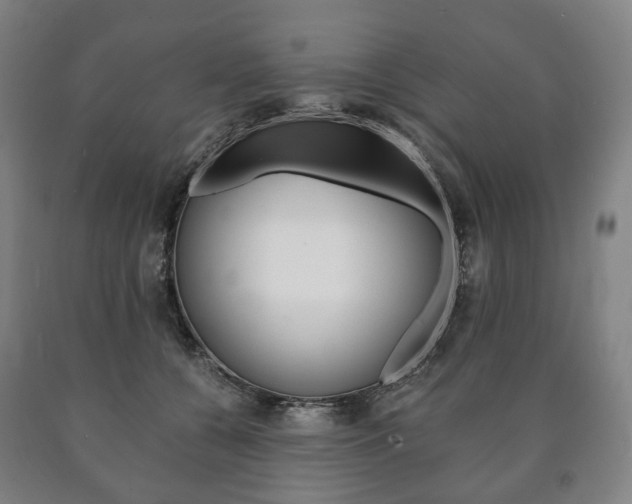 X0000090900560200707301013