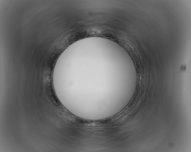 X0000090900561200707301013