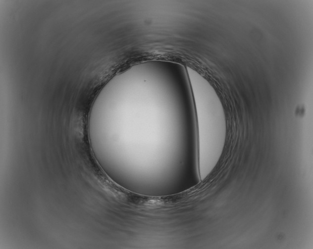 X0000090900562200707301013