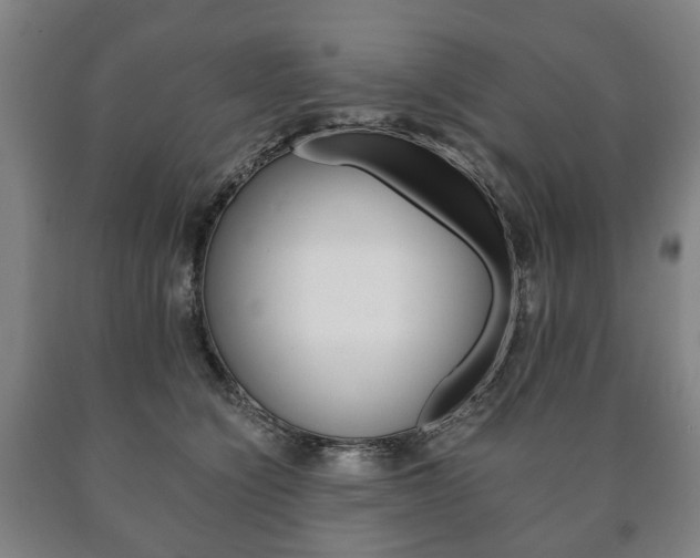 X0000090900564200707301013