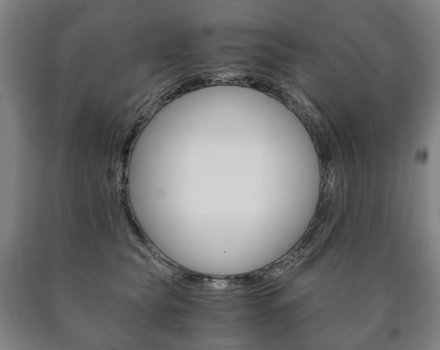 X0000090900565200707301013