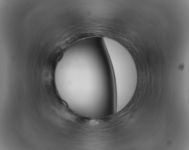 X0000090900566200707301013