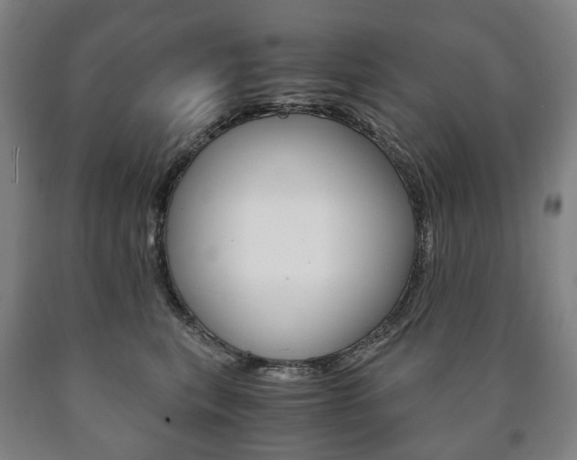 X0000090900567200707301013