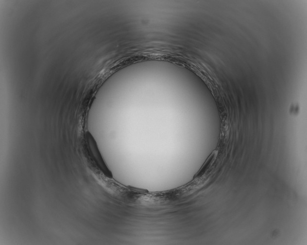 X0000090900568200707301014