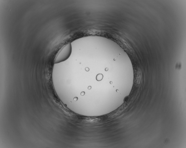 X0000090900569200707301014