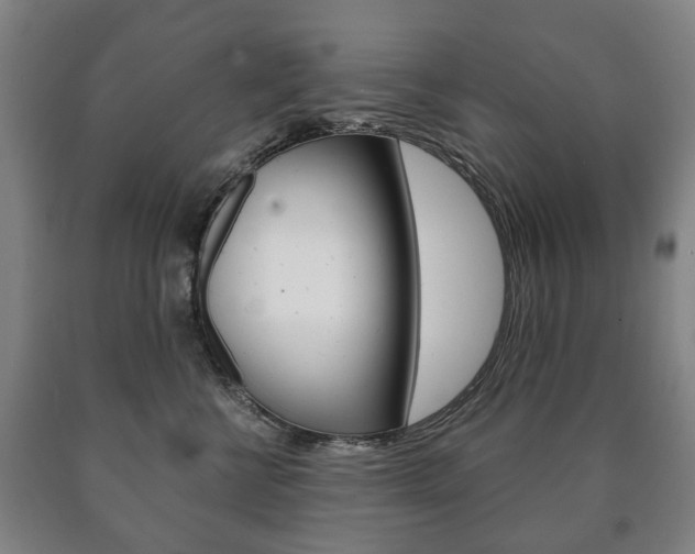X0000090900570200707301014