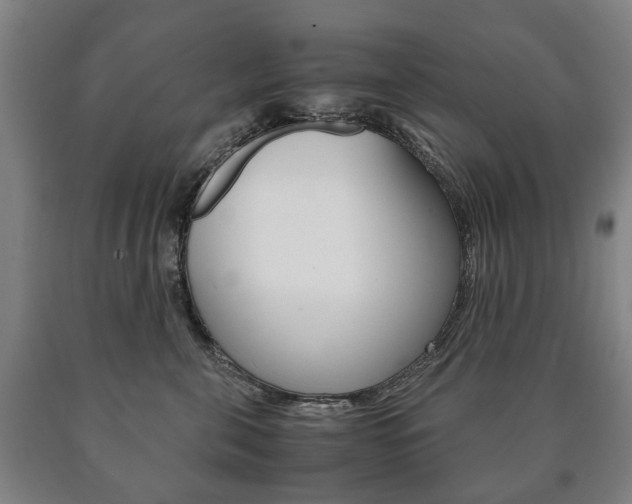 X0000090900571200707301014