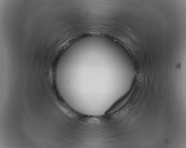 X0000090900572200707301014