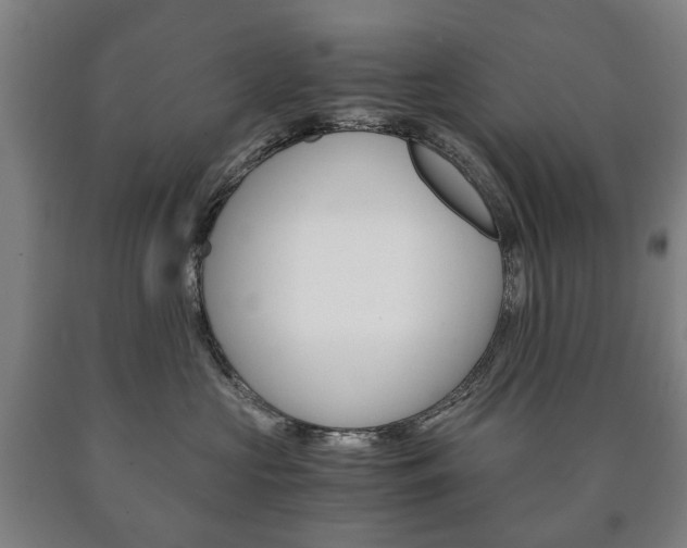 X0000090900573200707301014