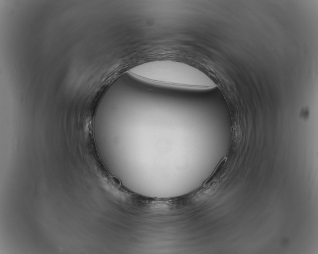X0000090900574200707301014