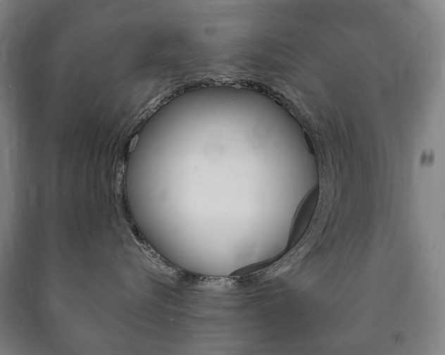 X0000090900576200707301014