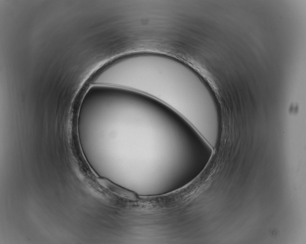 X0000090900580200707301013