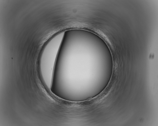 X0000090900581200707301013