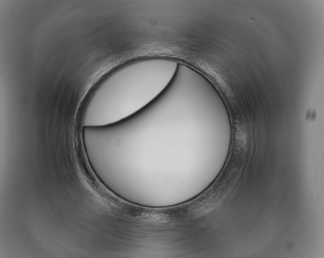 X0000090900582200707301013