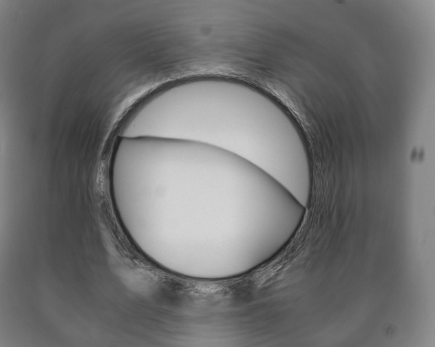 X0000090900583200707301013