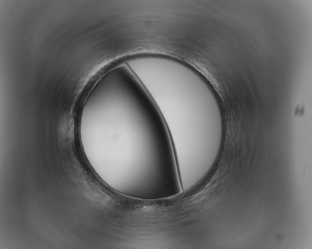 X0000090900584200707301013