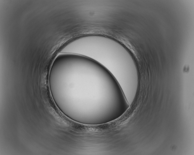 X0000090900585200707301013