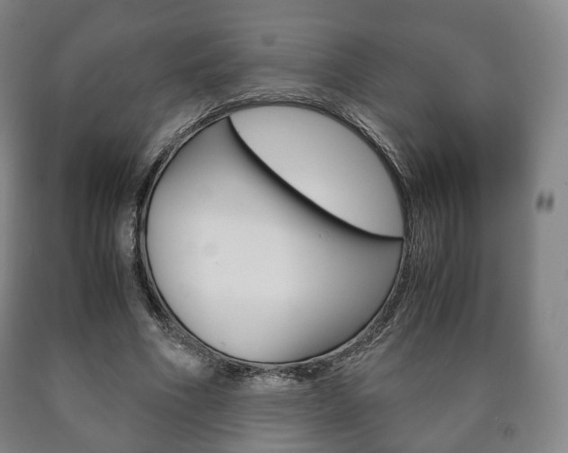 X0000090900586200707301013