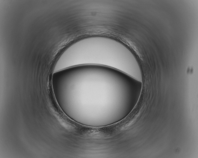 X0000090900589200707301013