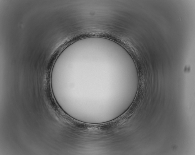 X0000090900591200707301013