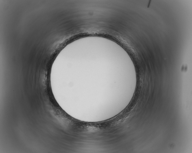 X0000090900592200707301013