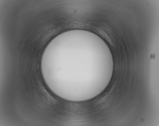 X0000090900593200707301013