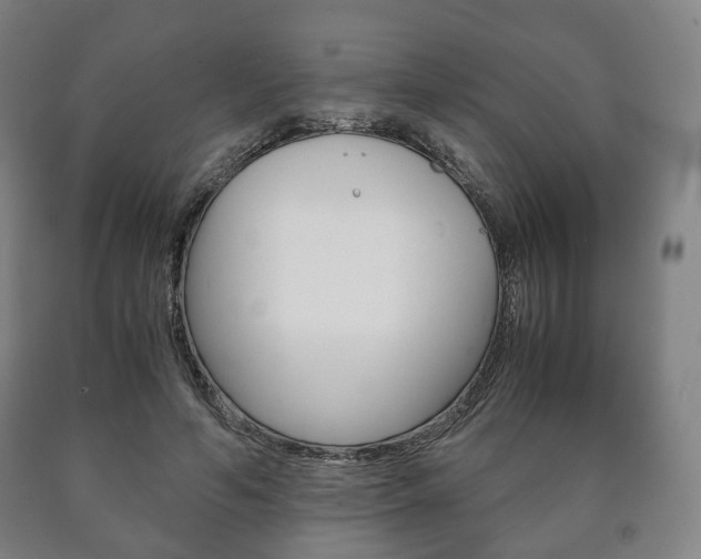 X0000090900594200707301013