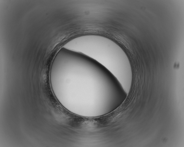 X0000090900595200707301013