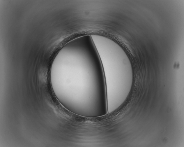X0000090900596200707301013