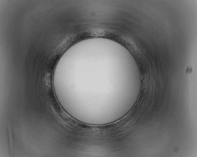 X0000090900598200707301013