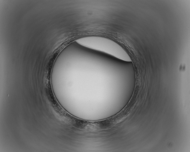 X0000090900599200707301013