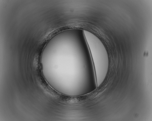 X0000090900600200707301013