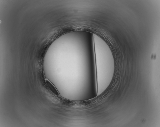 X0000090900601200707301013