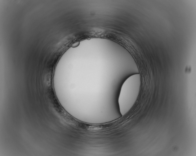 X0000090900602200707301013
