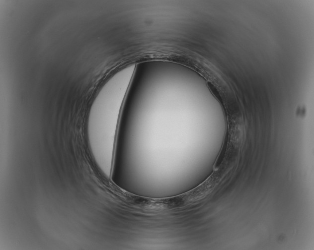X0000090900604200707301013